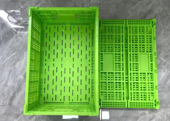 Składane plastikowe skrzynie z zielonym obrotem z siatkową podstawą lekką