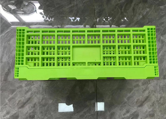 Składane plastikowe skrzynie z zielonym obrotem z siatkową podstawą lekką