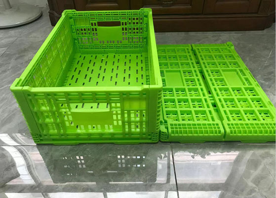Składane plastikowe skrzynie z zielonym obrotem z siatkową podstawą lekką
