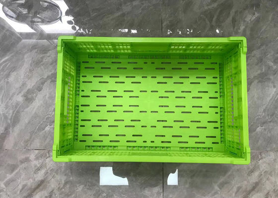 Plastikowe skrzynki na owoce i warzywa z PP w wielu rozmiarach