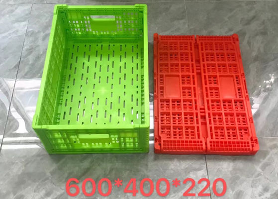 Plastikowa skrzynia do przechowywania owoców i warzyw Transportowa skrzynia do supermarketu